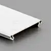 ISPKK-FLEX11.jpg